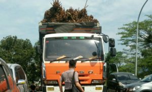 20 Kg Sabu Diamankan Jatanras Polda Lampung Dari Truk Bermuatan Rotan