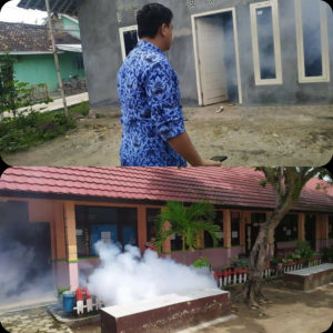 Cegah DBD Meluas, Puskesmas Rawat Inap Sidomulyo Lakukan Fogging Dilokasi Endemik