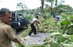 Anggota Polsek Penengahan Bersihkan Pohon Tumbang di Jalinsum