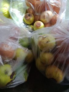Di Jatiagung, KPM Keluhkan Apel Busuk Belum Diganti