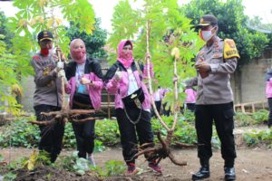 Program Ketahanan Pangan Kapolres Tubaba Berbuah Manis dan Memberi Manfaat