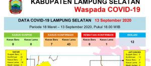 Jubir Covid-19; Ada Penambahan 7 Kasus Baru Konfirmasi Positif di Lampung Selatan