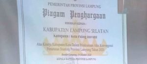 Dinilai Paling Inovatif, Kabupaten Lampung Selatan Raih Penghargaan Dalam Penanganan Stunting