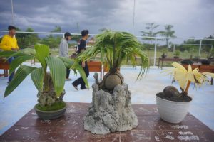 Penggemar Bonsai Makin Ramai di Tubaba, ‘Boncos’ Ajak Warga Cintai Tanaman Hias