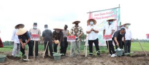Nanang Tanam Pisang Barangan Merah Jadi Komoditi Unggulan Di Lamsel