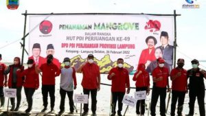 Ketua Komisi IV DPR RI Sudin Tanam 1000 Pohon Mangrove Di Desa Ketapang