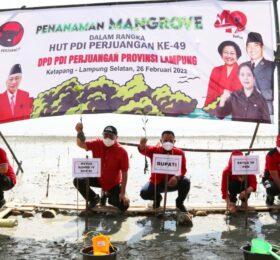 Ketua Komisi IV DPR RI Sudin Tanam 1.000 Pohon Mangrove di Desa Ketapang