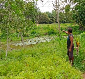 Miris, Pasal Rusak Tanaman Bocah di Candipuro Dipaksa Makan Daun Kelapa Sawit