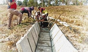 Melibatkan Pekerja dari Luar Kecamatan, Kegiatan P3-TGAI di Desa Kalirejo Diduga Dikelola Kades