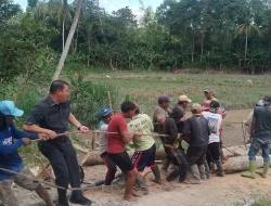 Ahmad Muslim Gotong Royong Bersama Warga Perbaiki Jembatan Putus