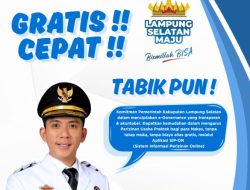 Luncurkan Aplikasi SIP-Online, Inovasi DPMPTSP Dukung Program Kerja 100 Hari Bupati Egi Layani Izin Praktek Nakes