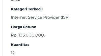Lapor Bu Kajari, Belanja Paket Internet Kominfo Lamsel 3 Tahun Berturut Sebesar Rp4,8 M Ditengarai Dikorupsi