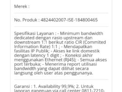 Berikut Fakta Seputar Kegiatan Penyediaan Paket Internet 300 Mbps Seharga Rp1,6 M Oleh Kominfo Lamsel Pada 2024 Lalu