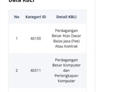 Tak Berizin, Pemasangan 30 Titik Wifi oleh PT QNN Ilegal !