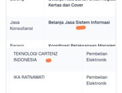 Kok Bisa Pengadaan Aplikasi Super Apps  Rp1,4 M Oleh Diskominfo Lamsel Dilaksanakan Oleh 2 Penyedia ?