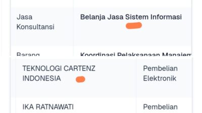 Kok Bisa Pengadaan Aplikasi Super Apps  Rp1,4 M Oleh Diskominfo Lamsel Dilaksanakan Oleh 2 Penyedia ?